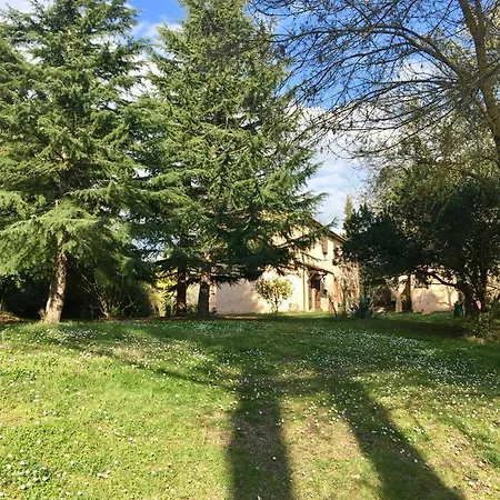 Agriturismo Bethsaid Fauglia Exterior photo